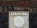 Dahlia Flower Relief