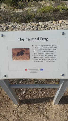 The Painted Frog