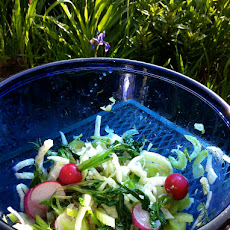 Fennel, Celery, and Wilted Radish Salad with Capers in a Citrus Vinaigrette