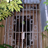 Geisterhaus Syburg
