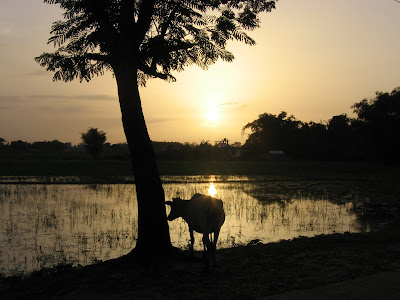 Goudhuli