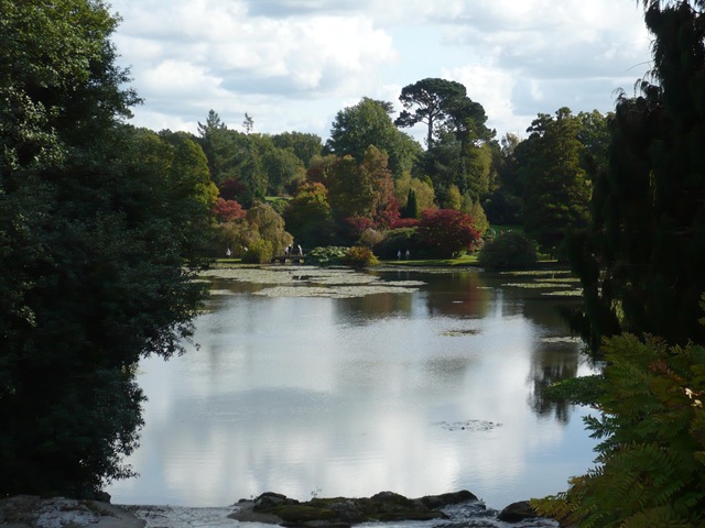 [View of lake against the light[3].jpg]