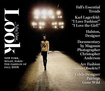 [lede-look-fall08.jpg]