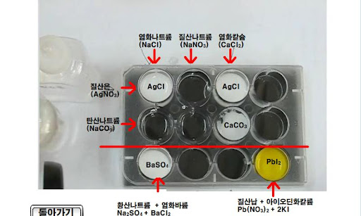 앙금 반응 가상 실험