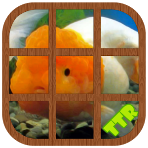 Goldfish Sliding Puzzle.apk 0.2