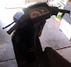 Suzuki Adress 50Cc La De Gran Pique