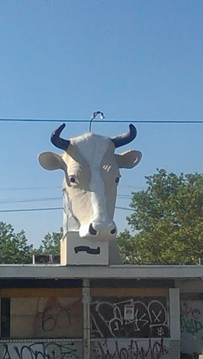 Mack Ave Cow