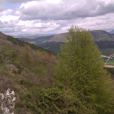 Fagoa