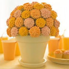 Potted Mums