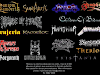 Musica Formato Mp3 Mas De 2000 Albunes
