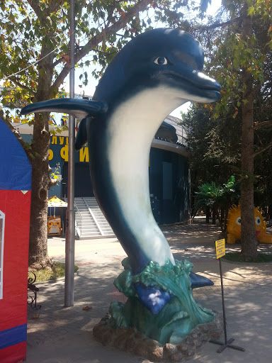 Дельфин перед дельфинарием 