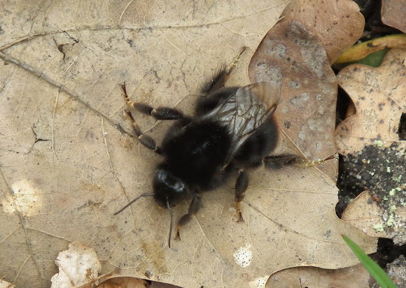 Spotting Image 1
