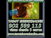 Oferta Tarot Visas Shere  902 599 113 5 E