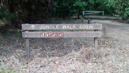 Holmes Jungle - Jungle Walk 