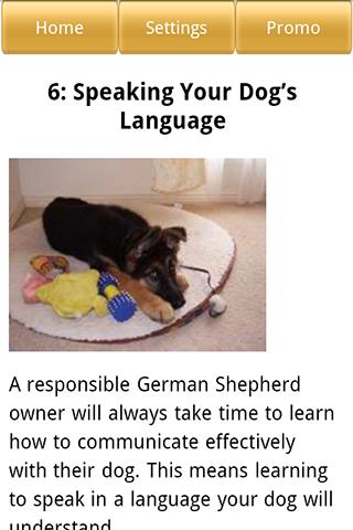 【免費書籍App】Training German Shepherds-APP點子