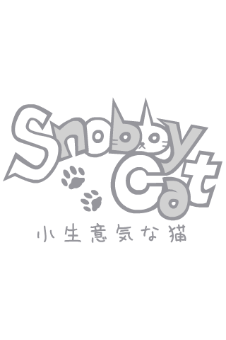 snobby cat