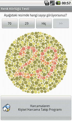 Color Blindness Test