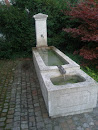 Hidden Fountain 
