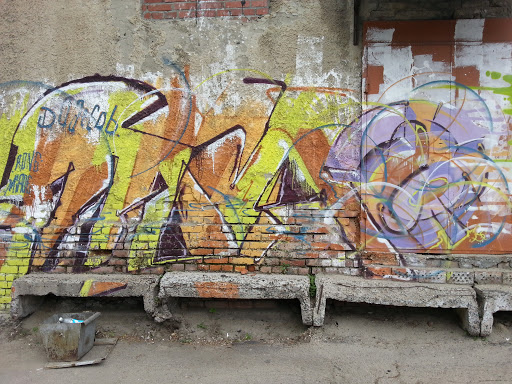 Dorm Graffity 3