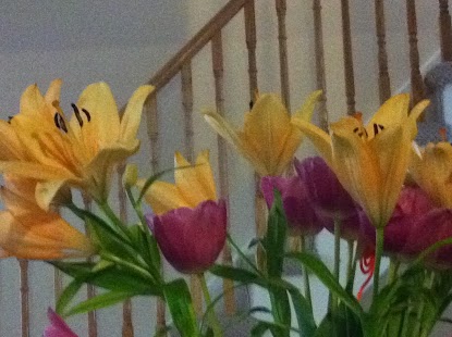 How to install PrimeTalk 3.4.5 mod apk for pc