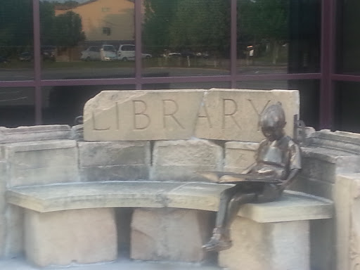 Library Statue