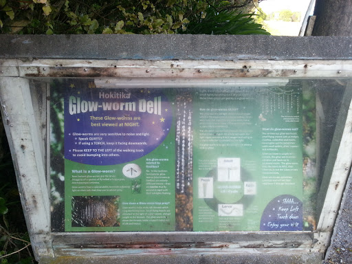 Glow Worm Dell