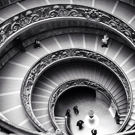 Giuseppe Momo staircase in Vatican Museums by Pavel Švec - Buildings & Architecture Architectural Detail ( vatican, photography, italy, rome, staircase, stairs )