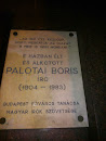 Palotai Boris 