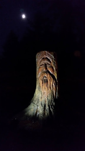 Woodlands Totem