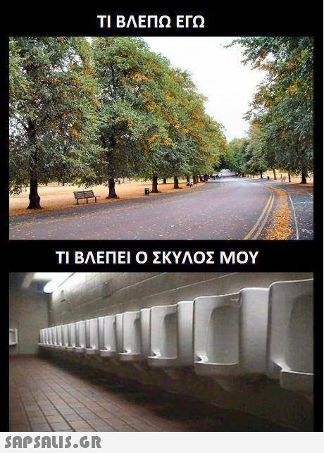 ΤΙ ΒΛΕΠΩ ΕΓΩ ΤΙ ΒΛΕΠΕΙ Ο ΣΚΥΛΟΣ ΜΟΥ 