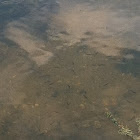 Unknown spotting