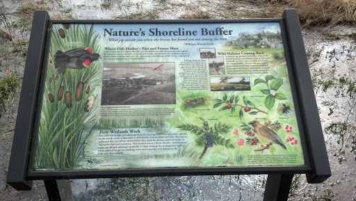 Nature's Shoreline Buffer