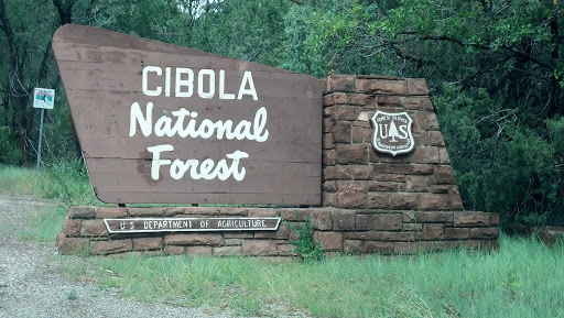 Cibola National Forest 