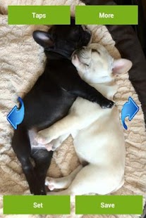 How to mod French bulldogs patch 2.0.0 apk for laptop