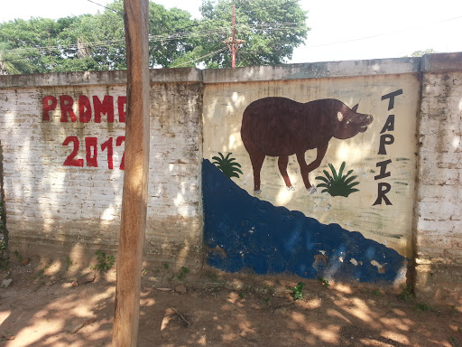 Graffiti Tapir