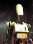09.jpg