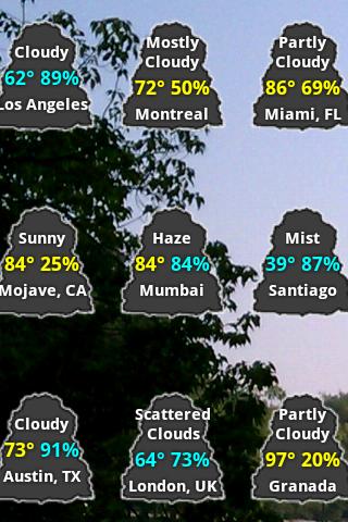 Catty Weather Widget