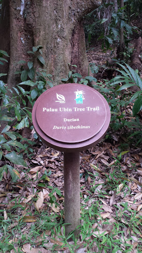 Ancient Durian SIgn