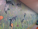 Dolphin Wall