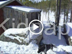 filmen-01.wmv