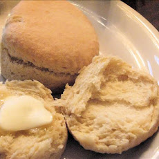 Another Angel Yeast Biscuit