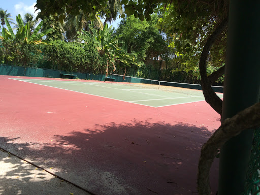 The Tennis Courts 