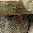 Flame skimmer