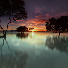 Scatteredly growing by Ledon Jasper Samoranos - Landscapes Waterscapes