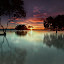 Scatteredly growing by Ledon Jasper Samoranos - Landscapes Waterscapes
