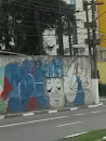 Grafite Japa