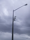 Lightpost Crane