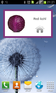 Deutsch lernen 4.1.1.4 apk