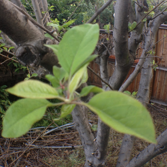 Spotting Image 1