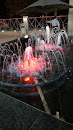 Citysacpe Fountain